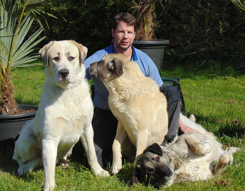Bernd Borgmann und Hunde- Safari Wohlfühlhof Auffangstation - Tiger und Löwen füttern - Predator Coaching
