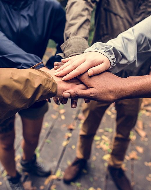 Predator Coaching - Team Seminare - Teamgeist - Tiger und Löwen füttern - Teamwork - Firmenseminare